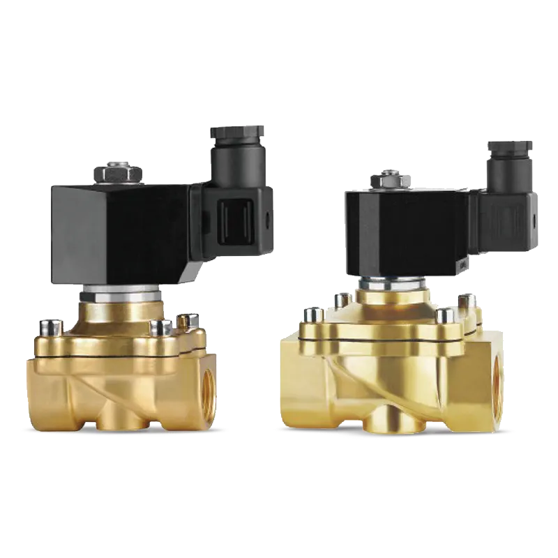 2W Series 2-Way Direct Acting Zero Differential Solenoid Valve - Brass & SS304